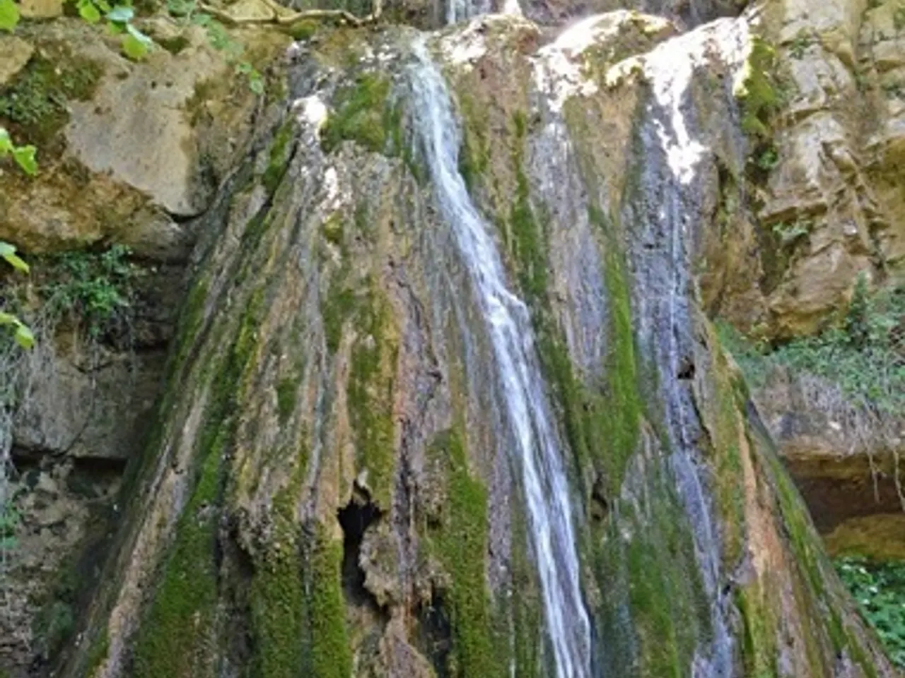 Fotografia de SALT DEL MOLINOT, COVA-BALMA DEL