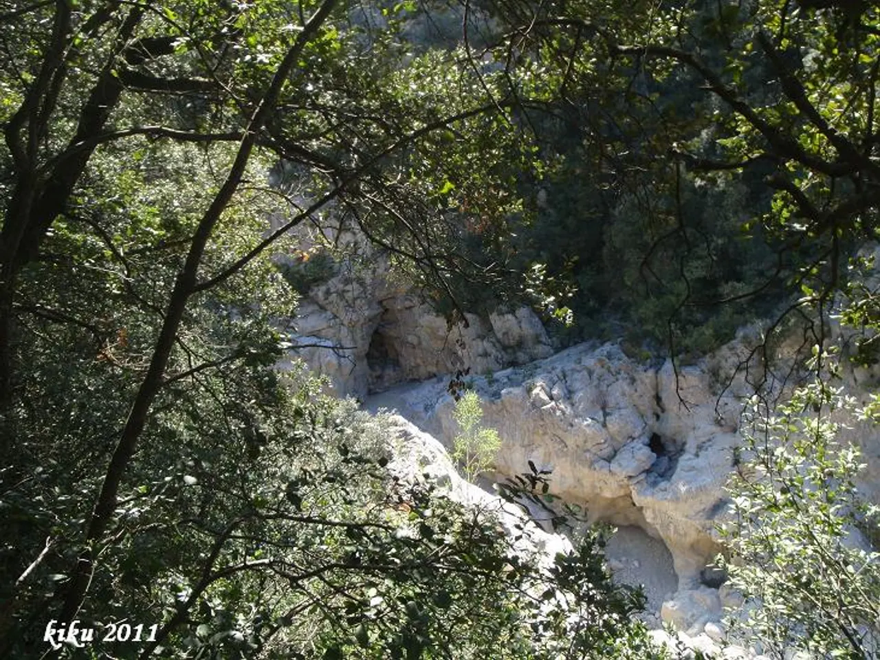 Photographie de CALIGRANYA, COVA