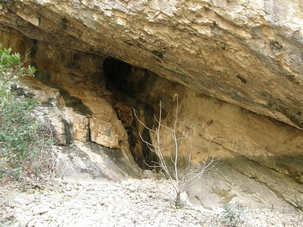 Photographie de PLATJA, COVA DE LA