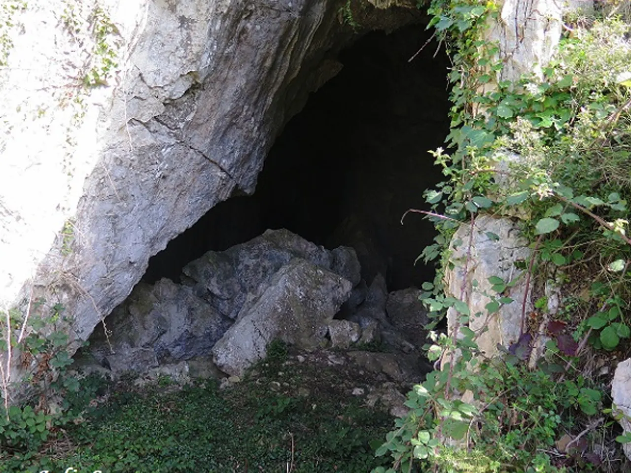 Fotografia de CIM DE L'OBAGA DEL POLLO, COVA-AVENC DEL