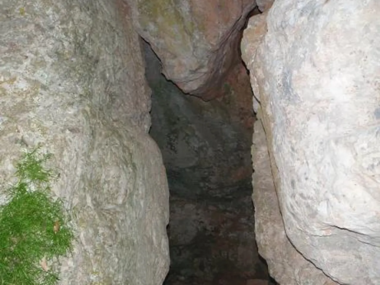 Fotografía de SOTA EL CASTELL, TUTA DE