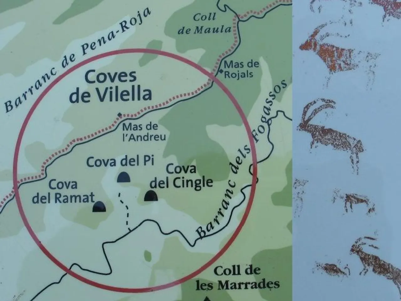 Fotografía de CINGLE, COVA DEL