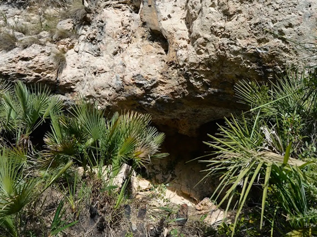 Photograph of PUNTA DE LA BARQUETA, COVA DE LA