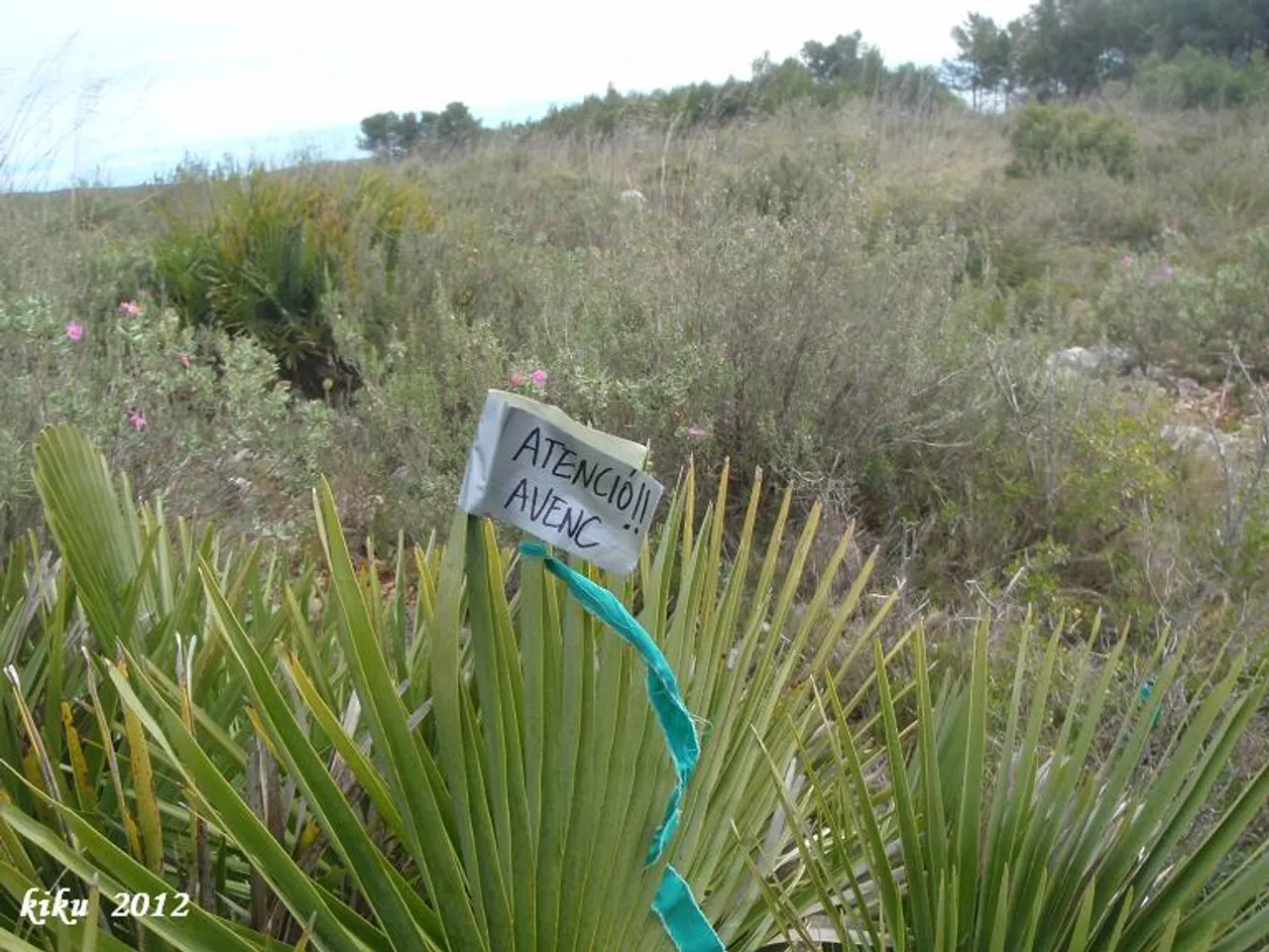 Fotografia de PALMA, AVENC DE LA