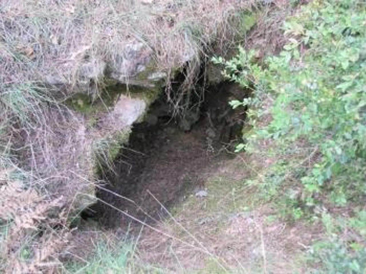 Fotografia de SUOR, AVENC DE LA