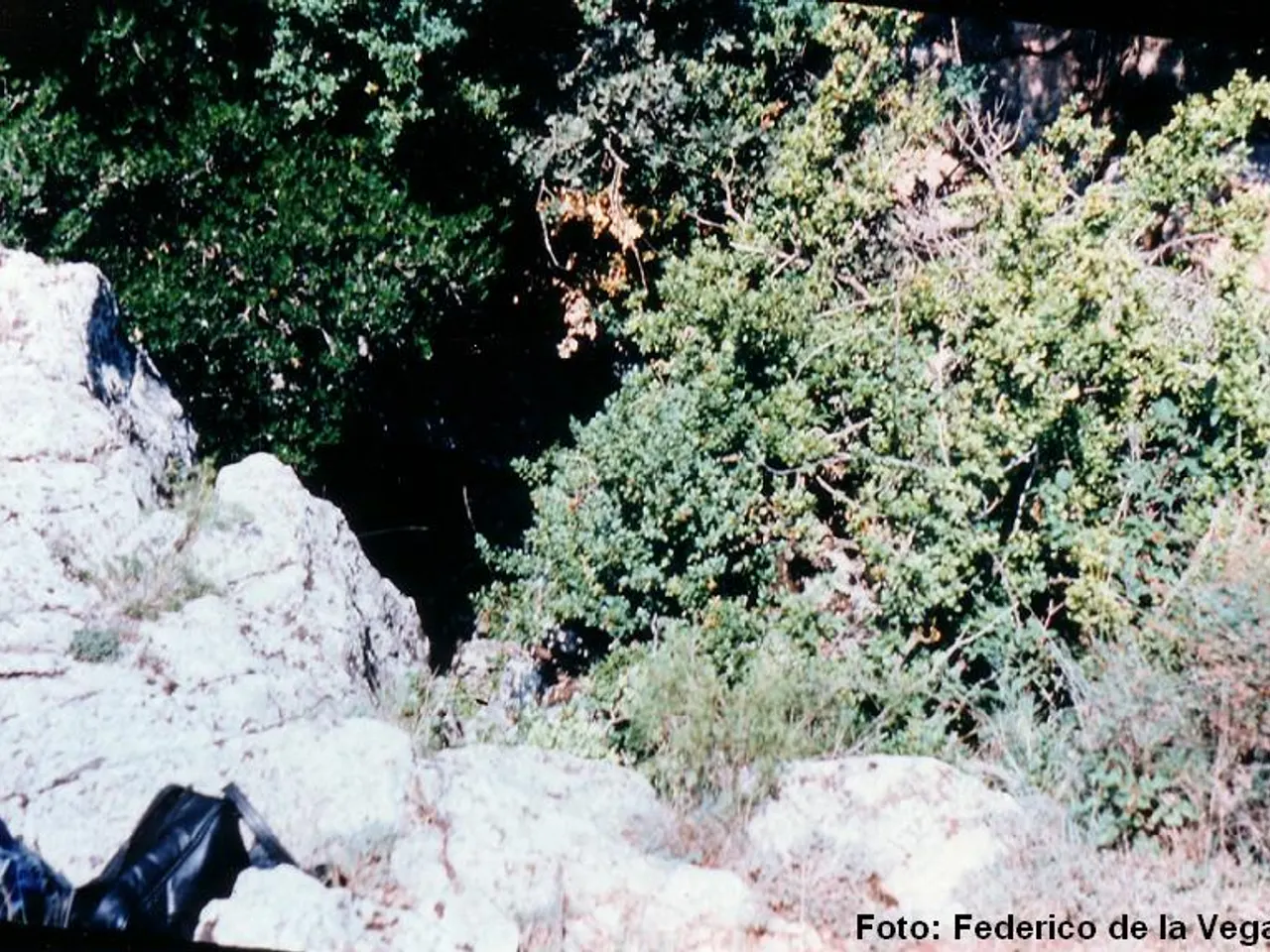 Fotografia de BIOT, COVA DEL