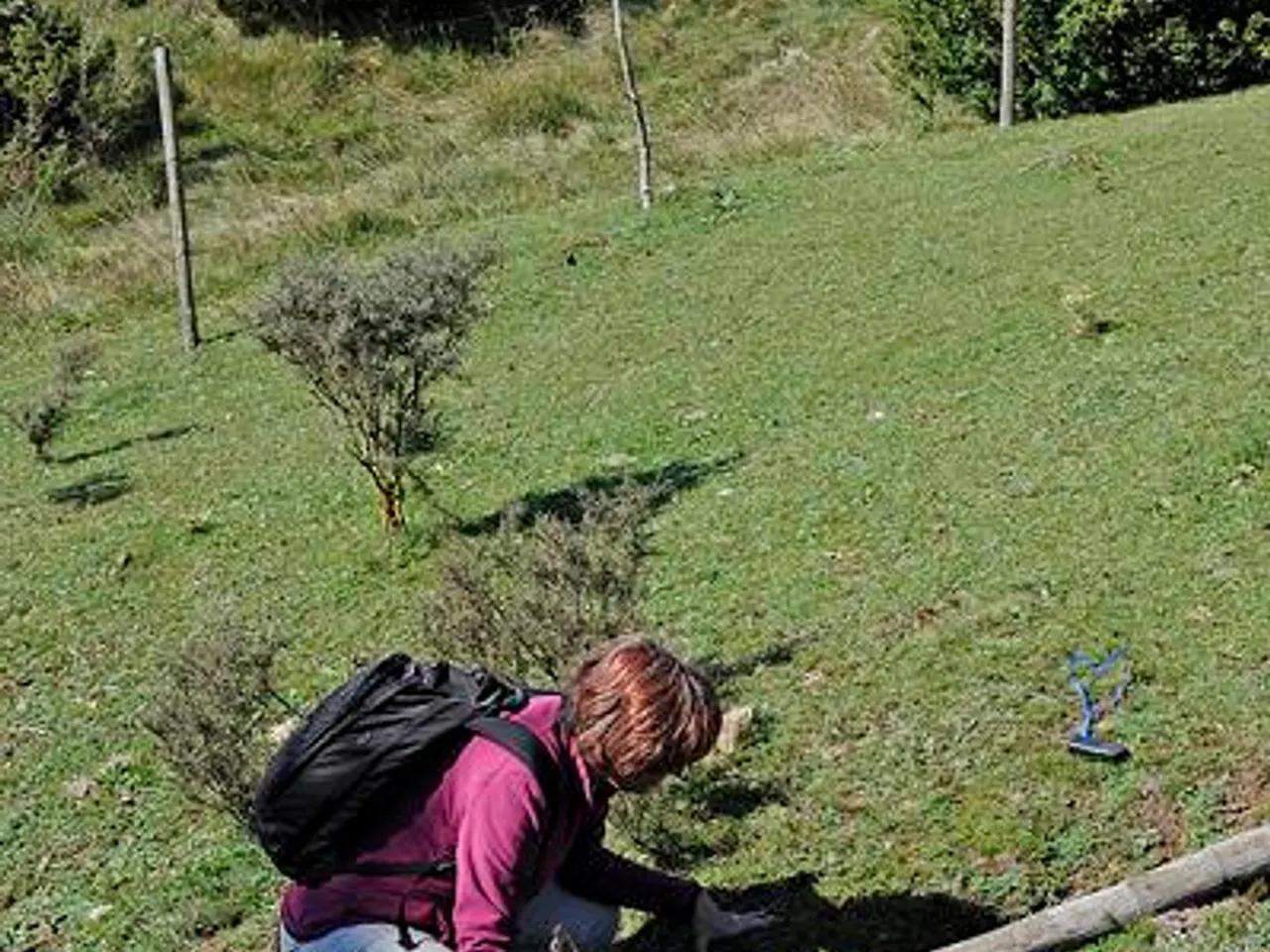 Photographie de COLL DE LA CREUETA, ESQUERDA DEL