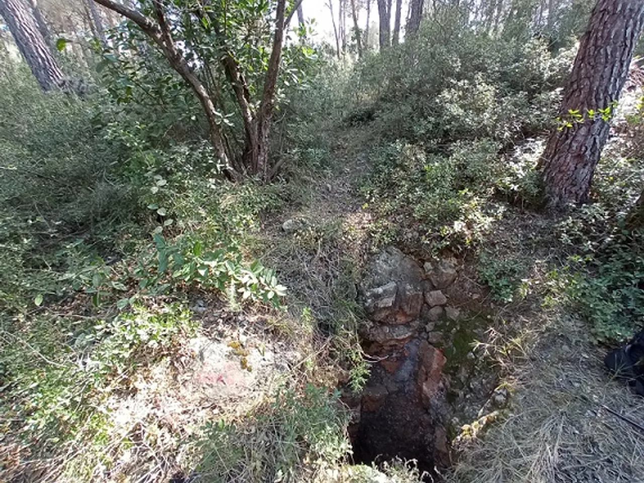 Fotografía de CLAR Nº 2,  AVENC