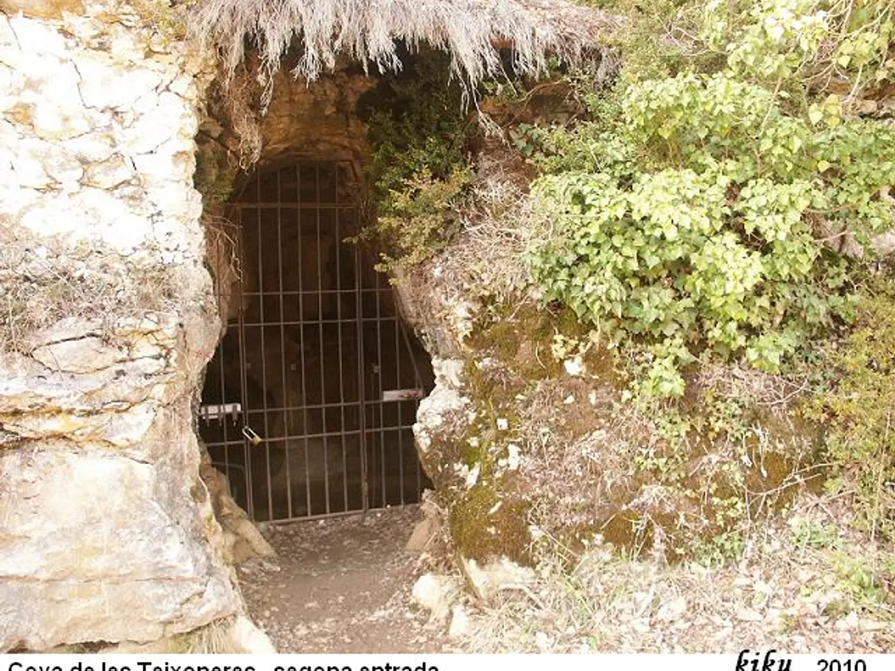 Fotografia de TEIXONERES, COVA DE LES