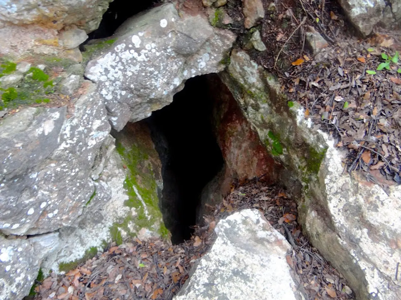 Fotografía de MALESA, AVENC III DE LA