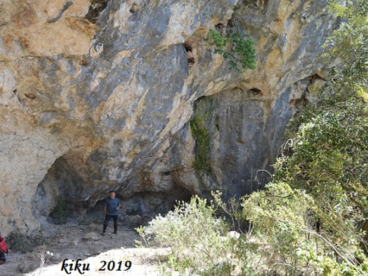 Photograph of COLOMS DE DALT, COVA DELS