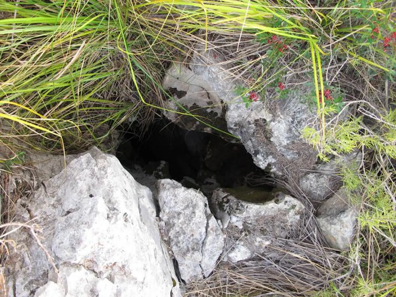 Photograph of BANDERES Nº 2, AVENC DE LES
