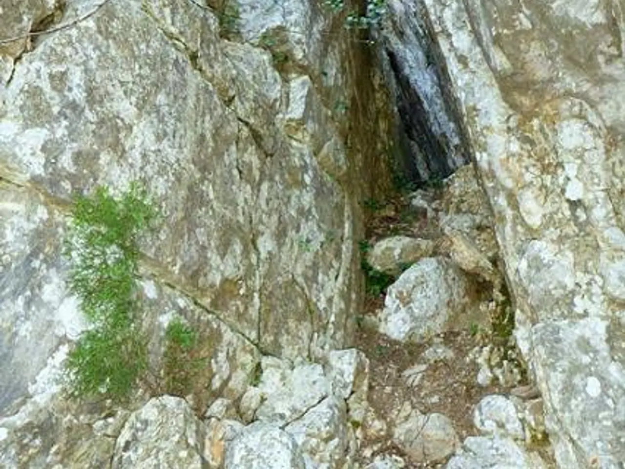 Fotografía de NEGRA, COVA