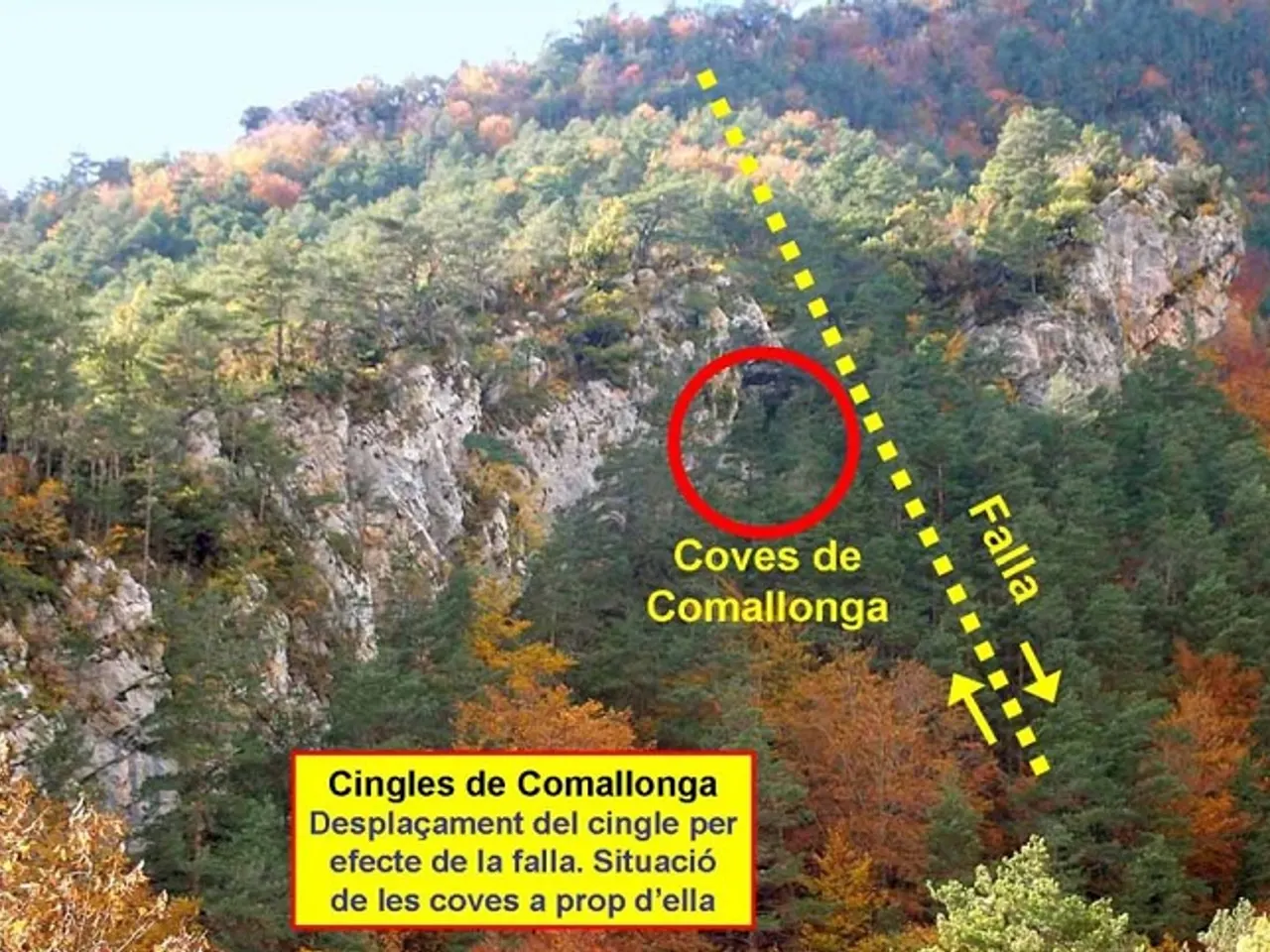 Fotografía de COMALLONGA, COVA Nº1 DE