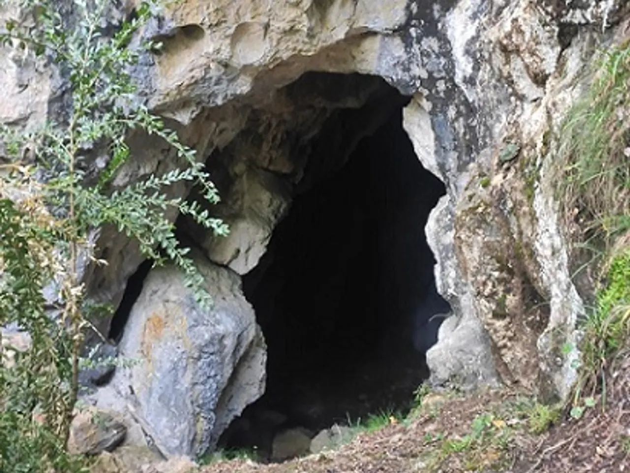 Photograph of GEGANTS, COVA DELS