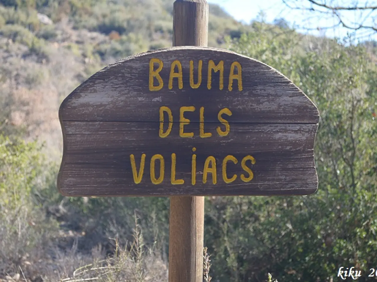 Photographie de VOLIACS, BAUMA DELS