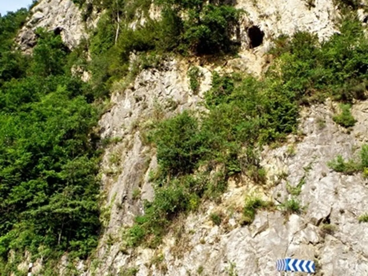 Fotografia de CASOT, BAUMA DEL