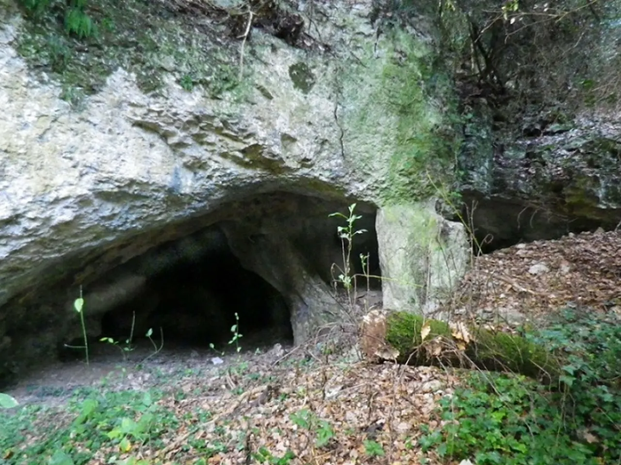 Fotografía de FONTSCALENTS, COVA DE