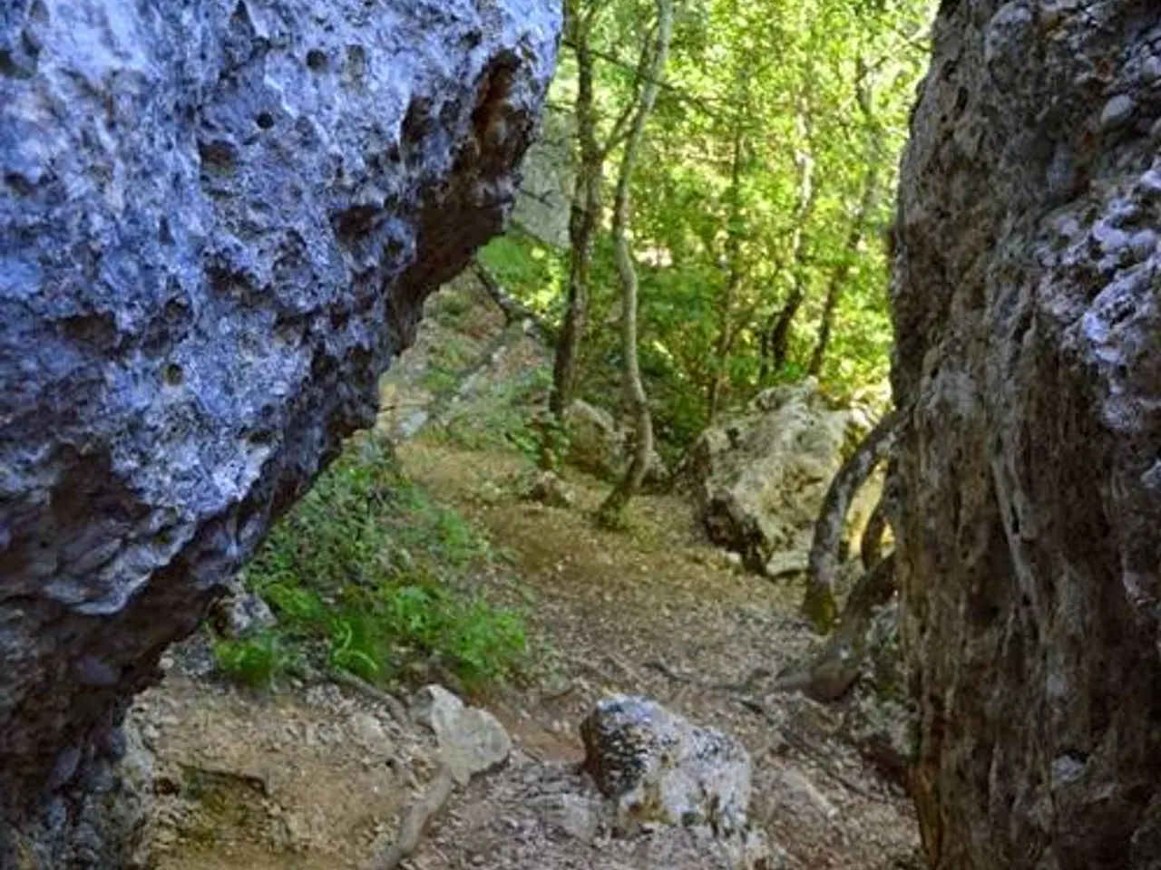 Fotografia de CALAIXOS DE L'ERELDO, COVA DELS