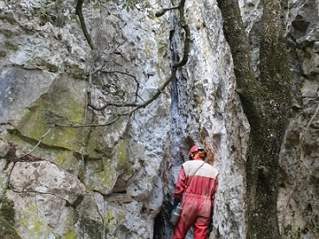 Fotografia de MAS DE PONTONS, COVA-AVENC DEL