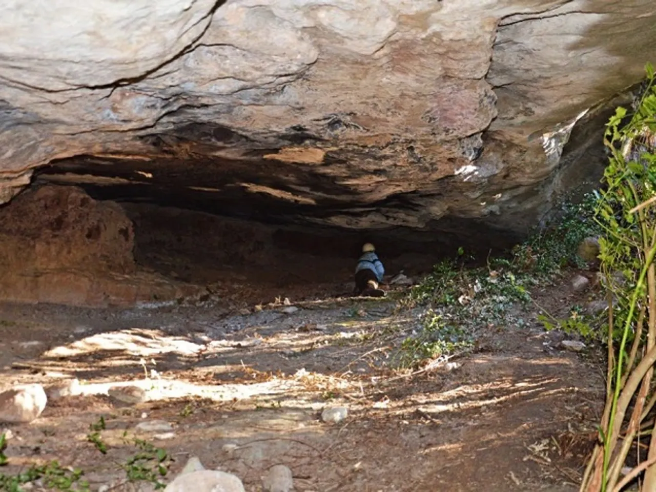 Fotografia de FIGUERA, BALMA DE LA