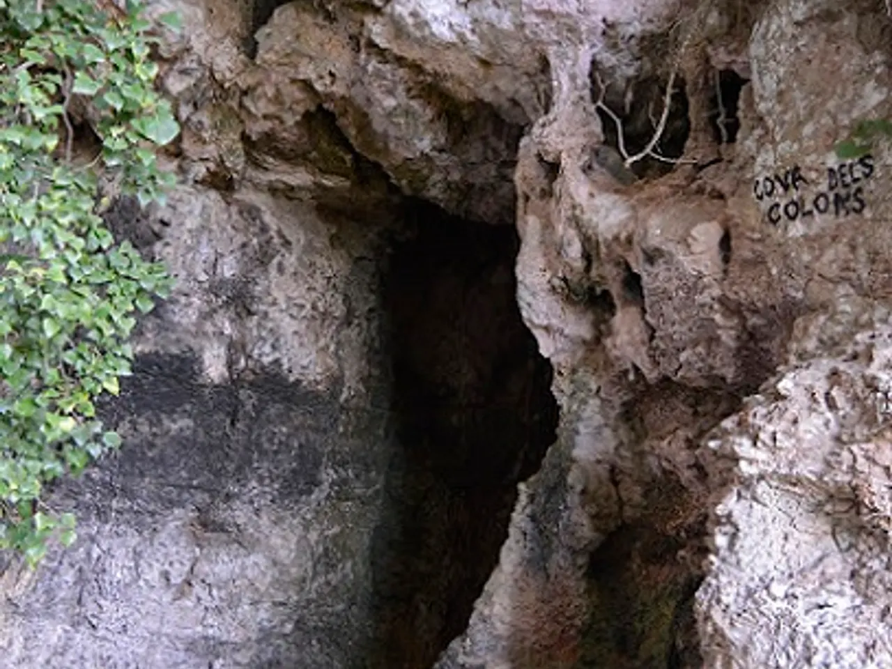 Fotografia de COLOMS, COVA DELS