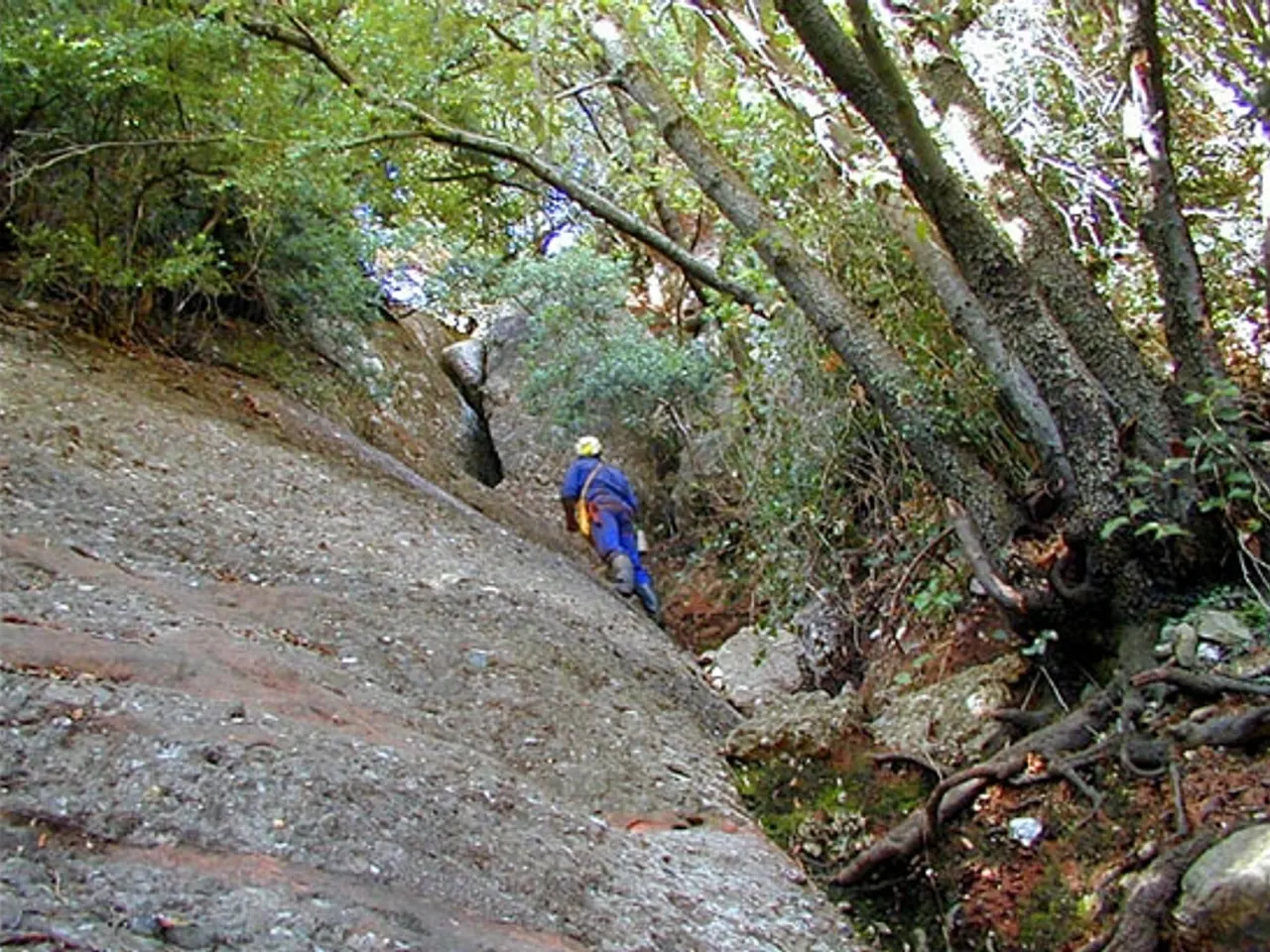Fotografia de SIMANYA NOVA, COVA