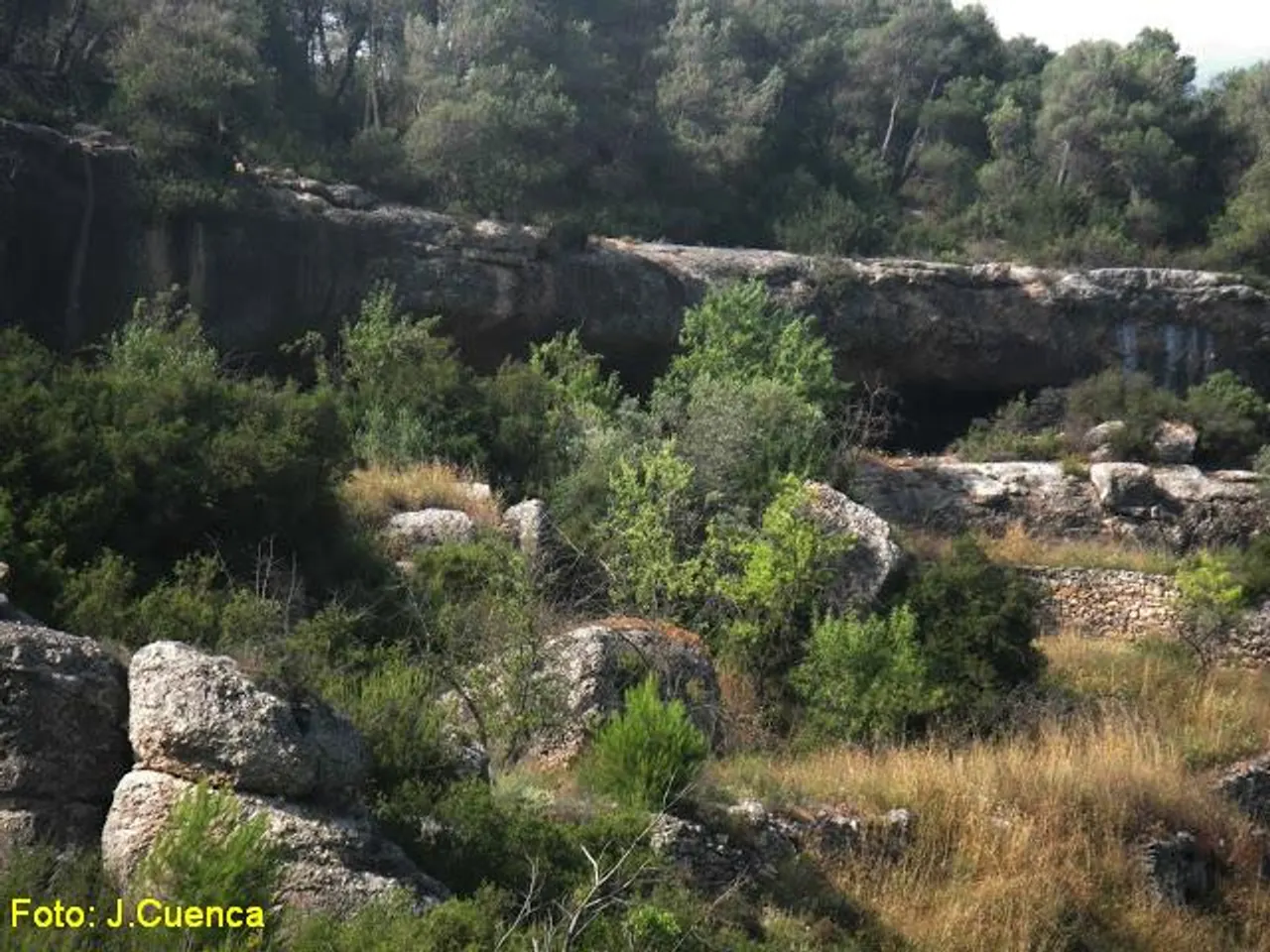 Fotografia de HORTES, COVA DE LES