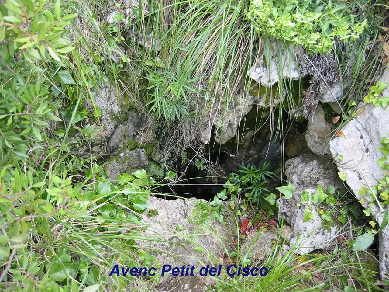 Photograph of CISCO, AVENC PETIT DEL