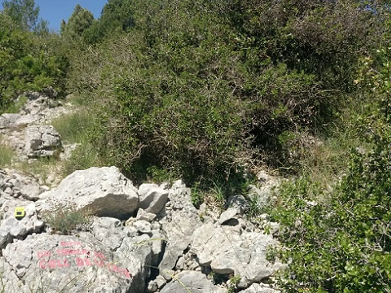 Photograph of TORRENT DEL COLL DE LA CREU, AVENC DEL