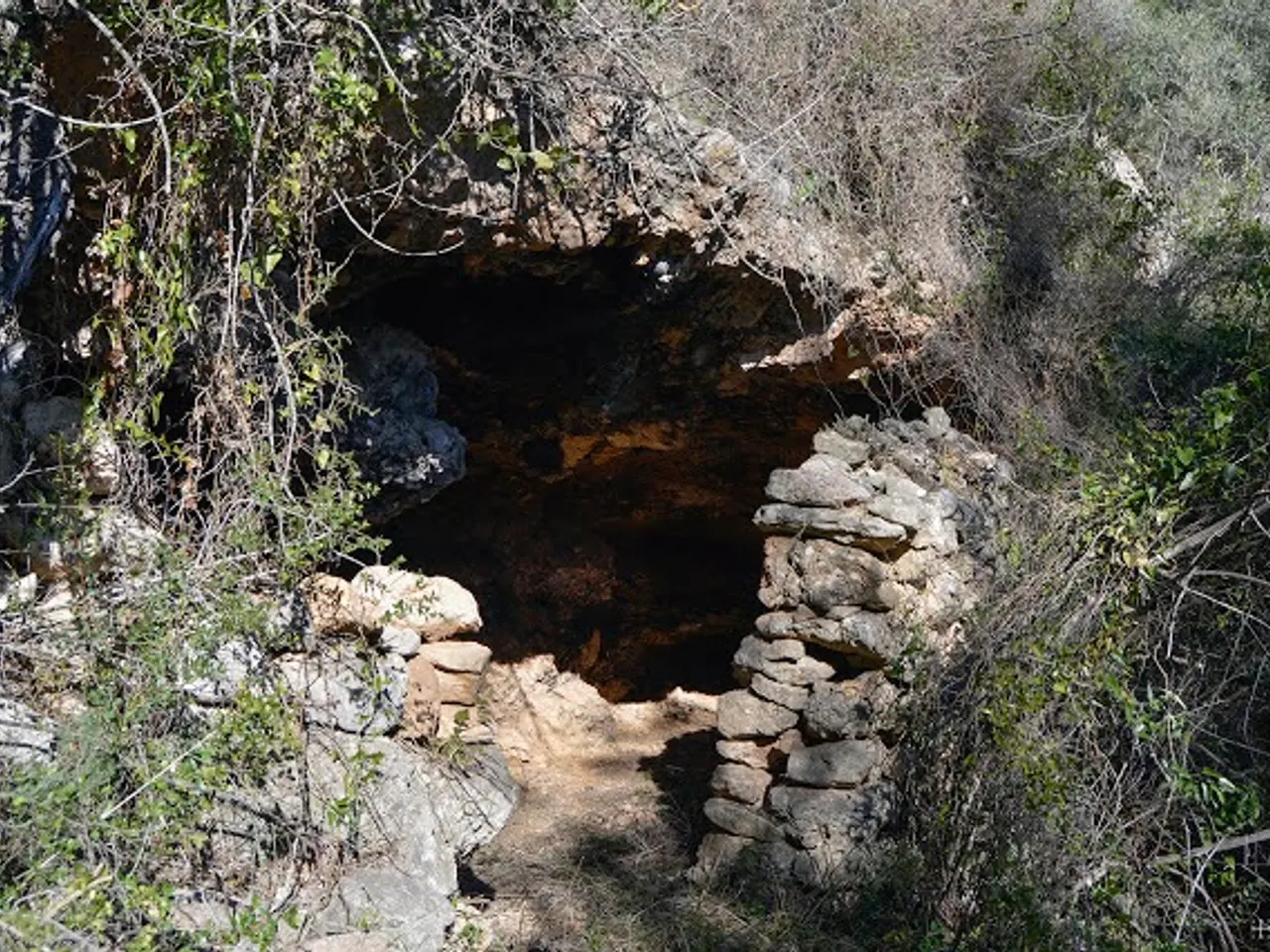 Fotografia de LIAUS, COVA DELS