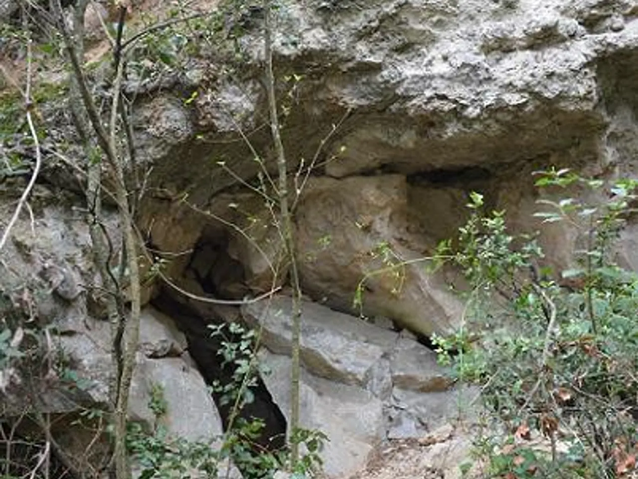 Fotografia de ENCANTADES DE MARTÍS, COVA DE LES