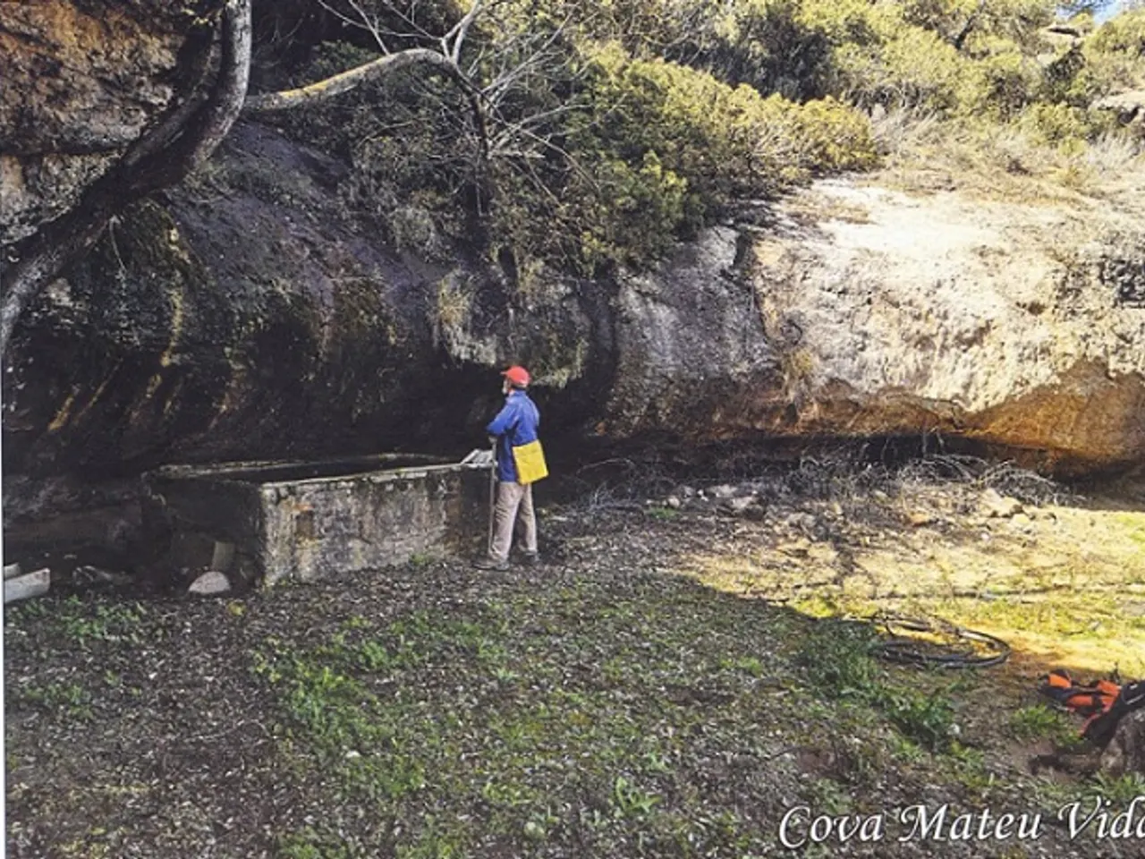 Fotografia de MATEU VIDAL, COVA