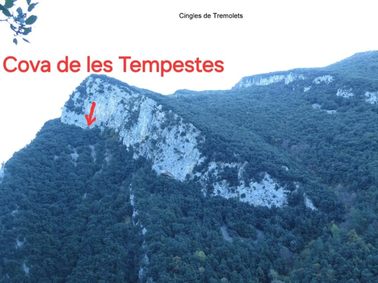 Fotografia de TEMPESTES, COVA DE LES