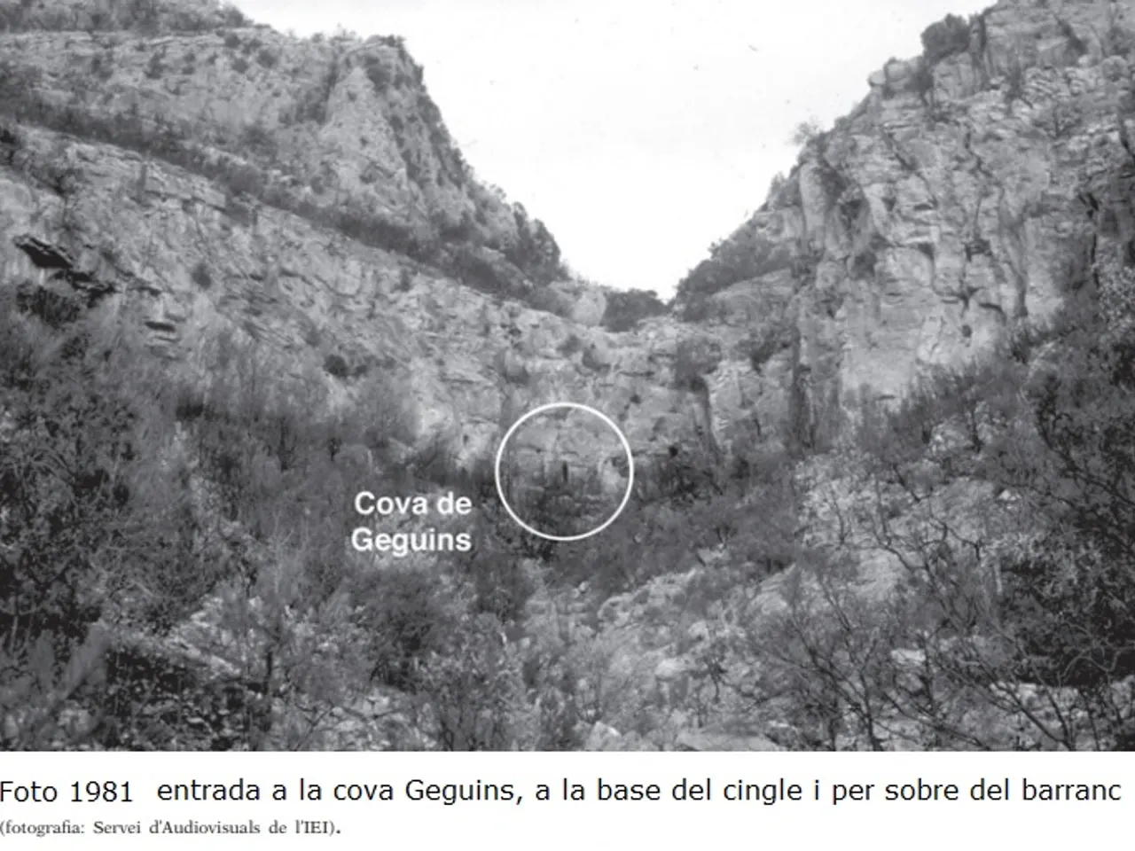 Fotografia de GEGUINS, COVA DE