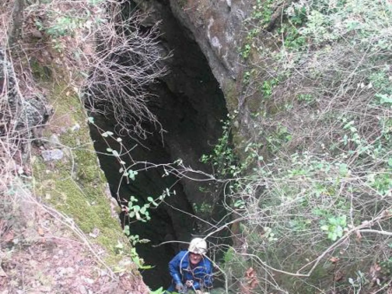 Fotografia de SERRA DEL GALL, AVENC DE LA