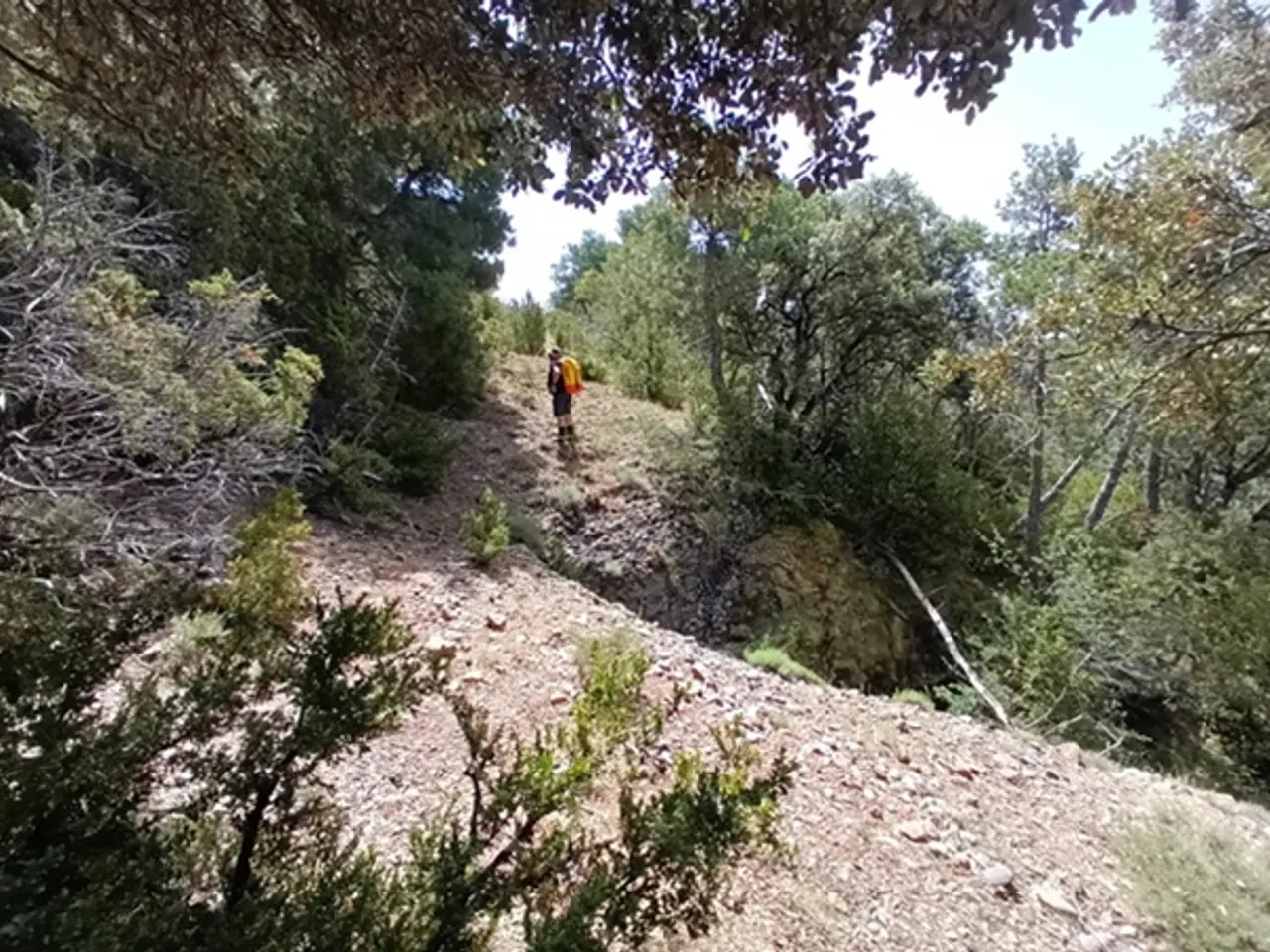 Fotografía de BAIARRI, GRALLERA DE