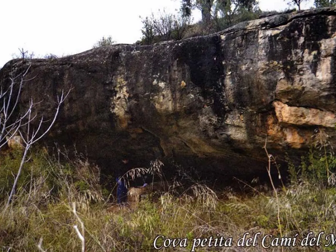 Fotografia de CAMÍ DEL MOLÍ, COVA PETITA DEL