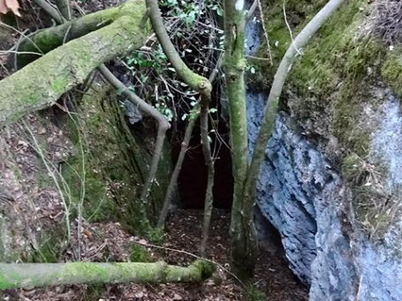 Fotografia de SALT, AVENC DEL