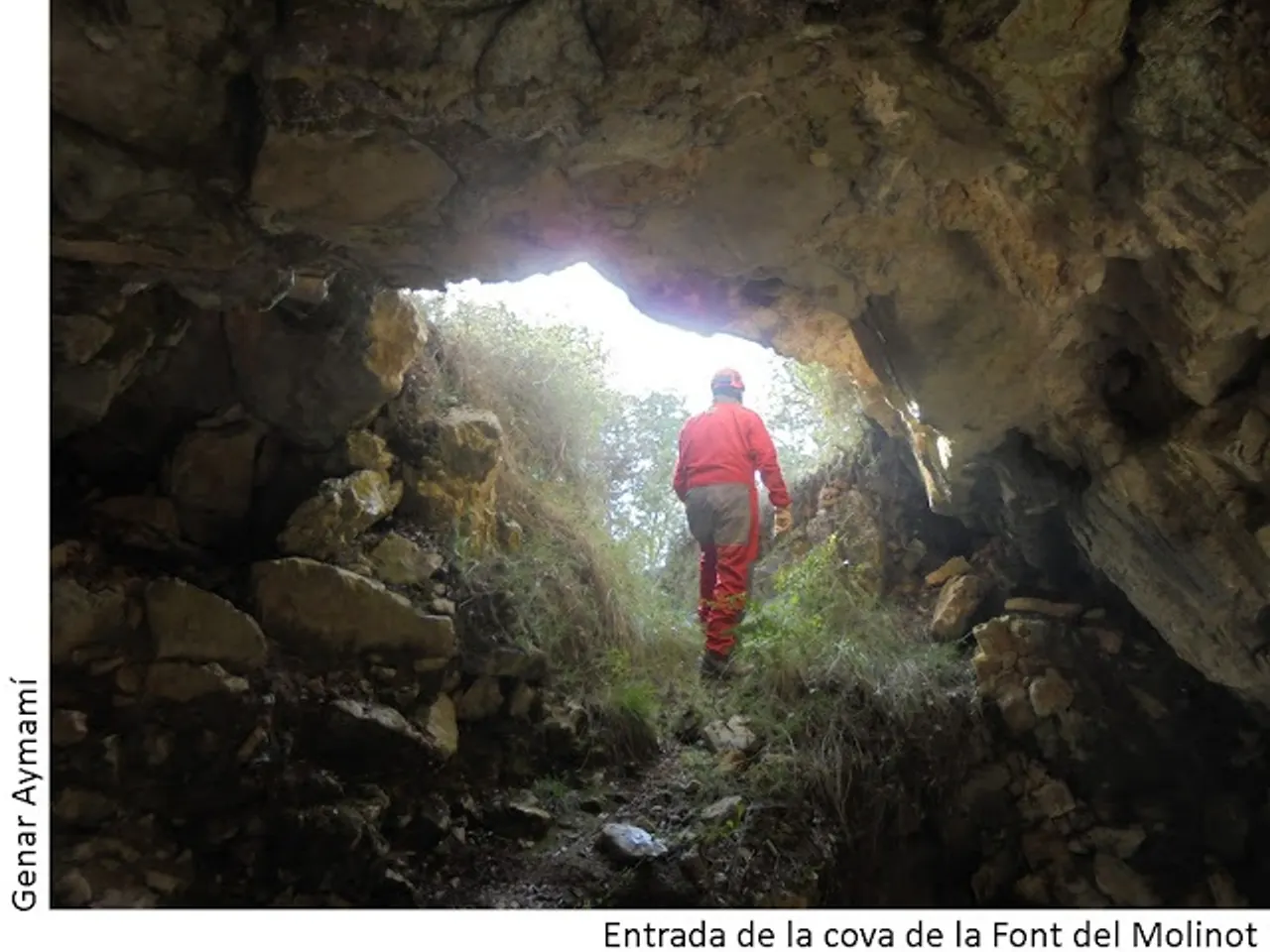 Fotografía de FONT DEL MOLINOT, COVA DE LA