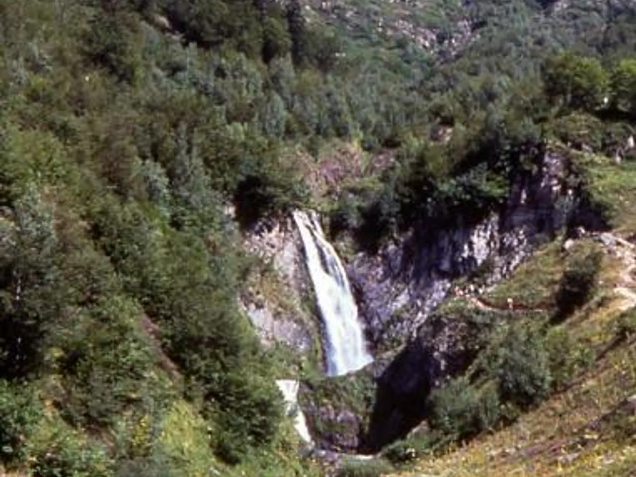 Fotografía de SESCORJADA, UELH DER