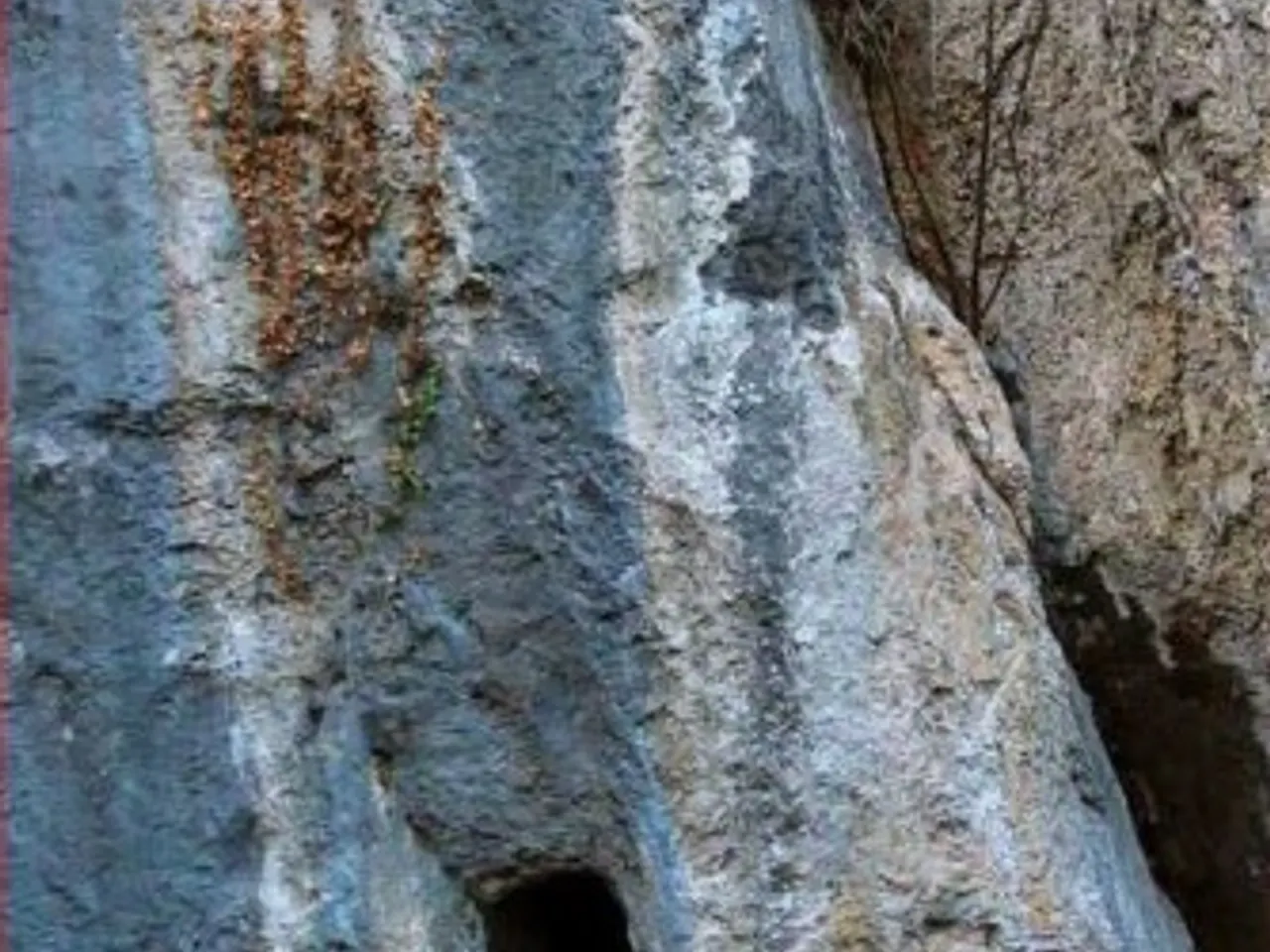 Photograph of CINT, TUTA DEL