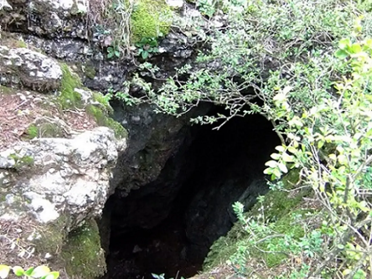Photograph of MATINERS, COVA DELS