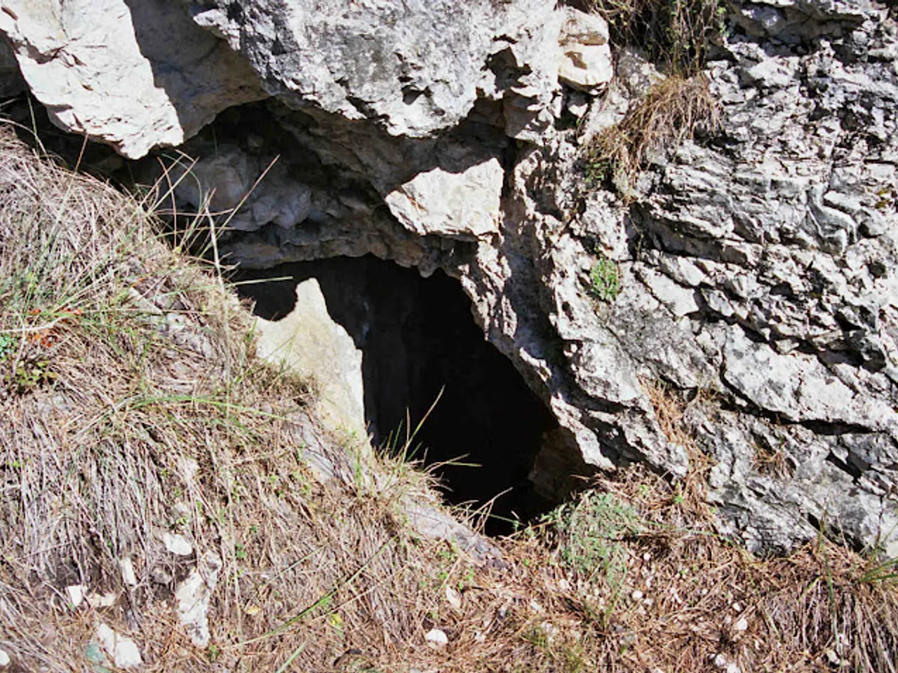 Fotografía de CP.7, AVENC