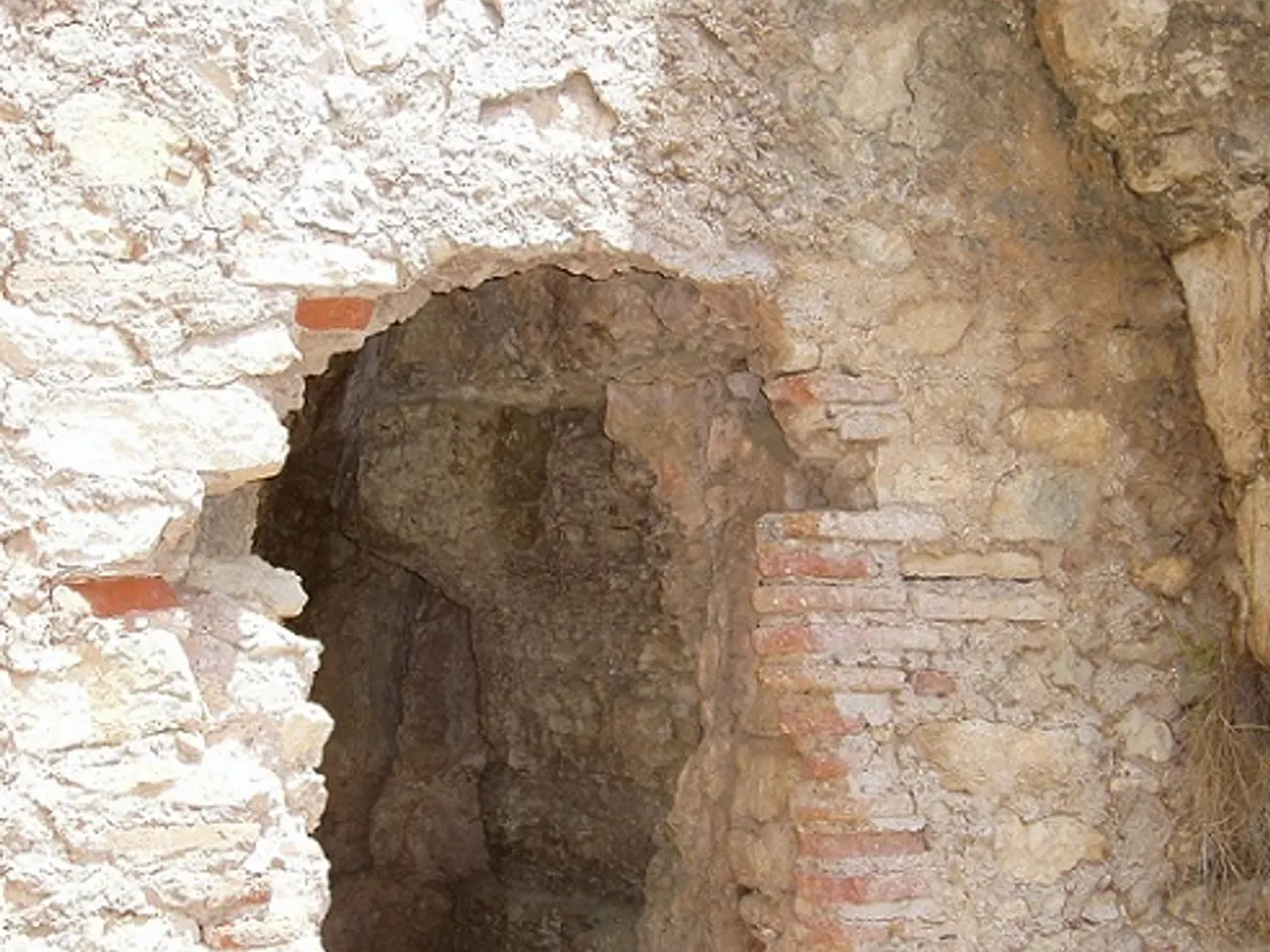 Fotografia de ISARD, COVA DE L'