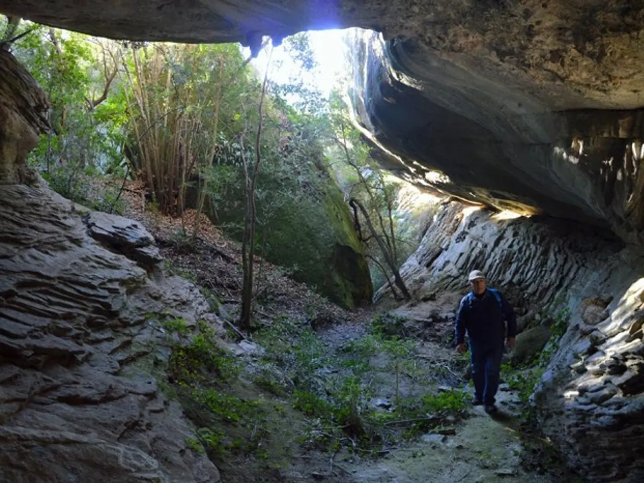 Photograph of BACONERES, CAVORCA 2 DE LES