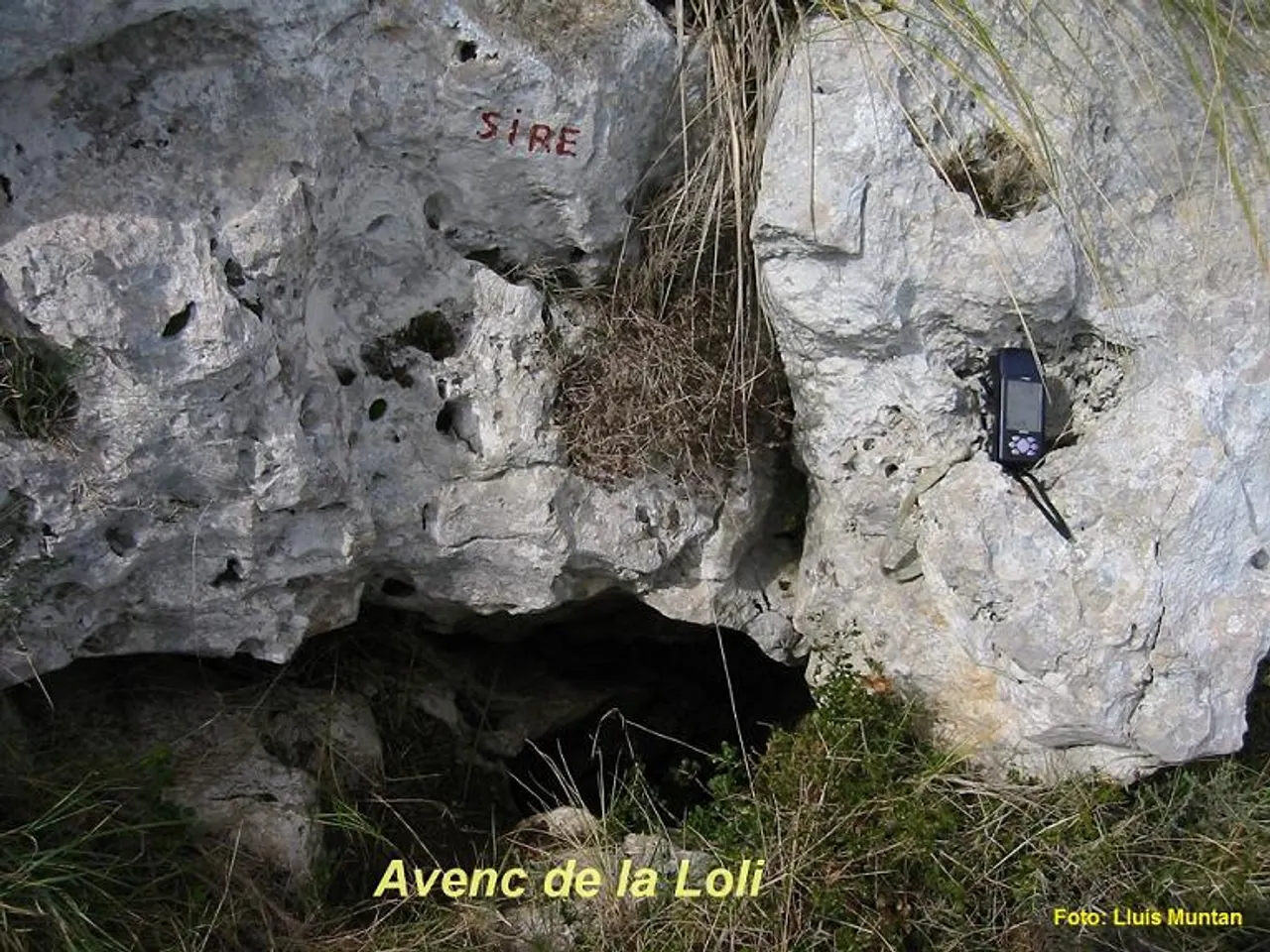 Photograph of LOLI, AVENC DE LA