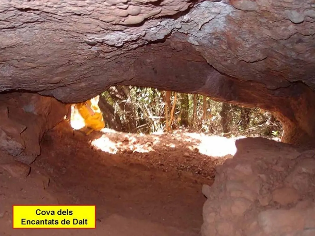Fotografía de ENCANTATS DE DALT, COVA DELS