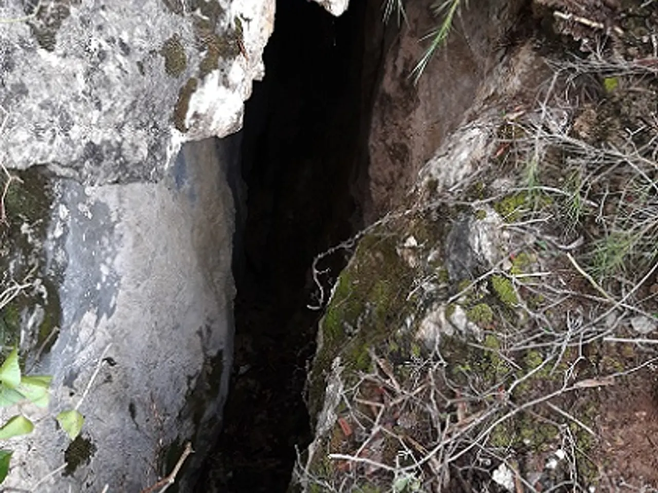 Fotografia de MAS DE LES FONTS, ESQUERDA Nº 6 DEL