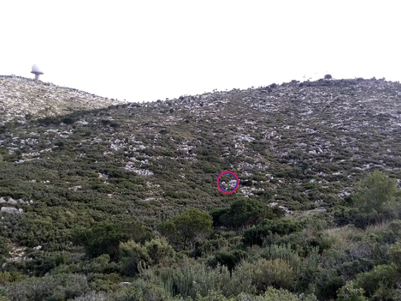 Fotografía de CABANA DE LA BENA, AVENC DE LA